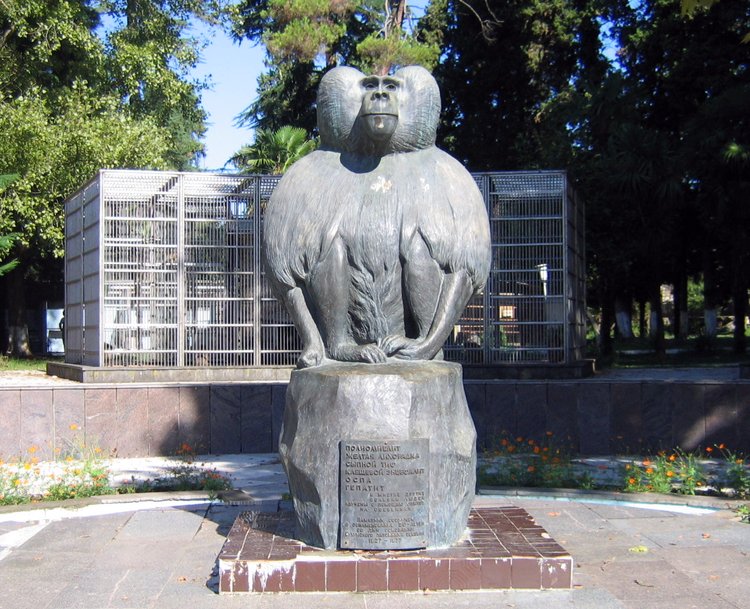 Памятник Обезьяне в Сухуме